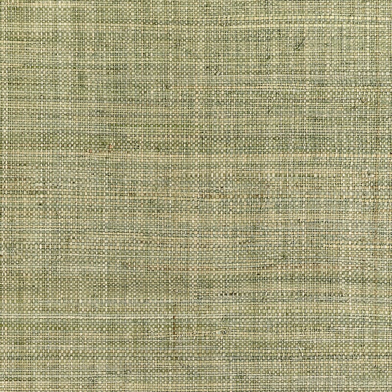 T10302 Thibaut Sage Wallpaper