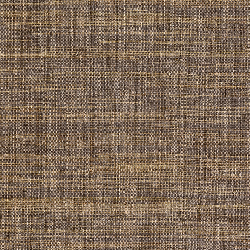 T10304 Thibaut Earth Wallpaper