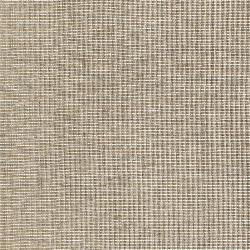 T10321 Thibaut Brown Wallpaper