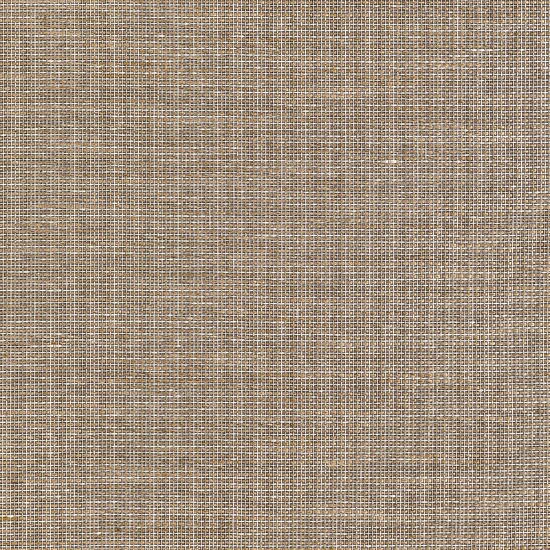 T10380 Thibaut Brown Wallpaper