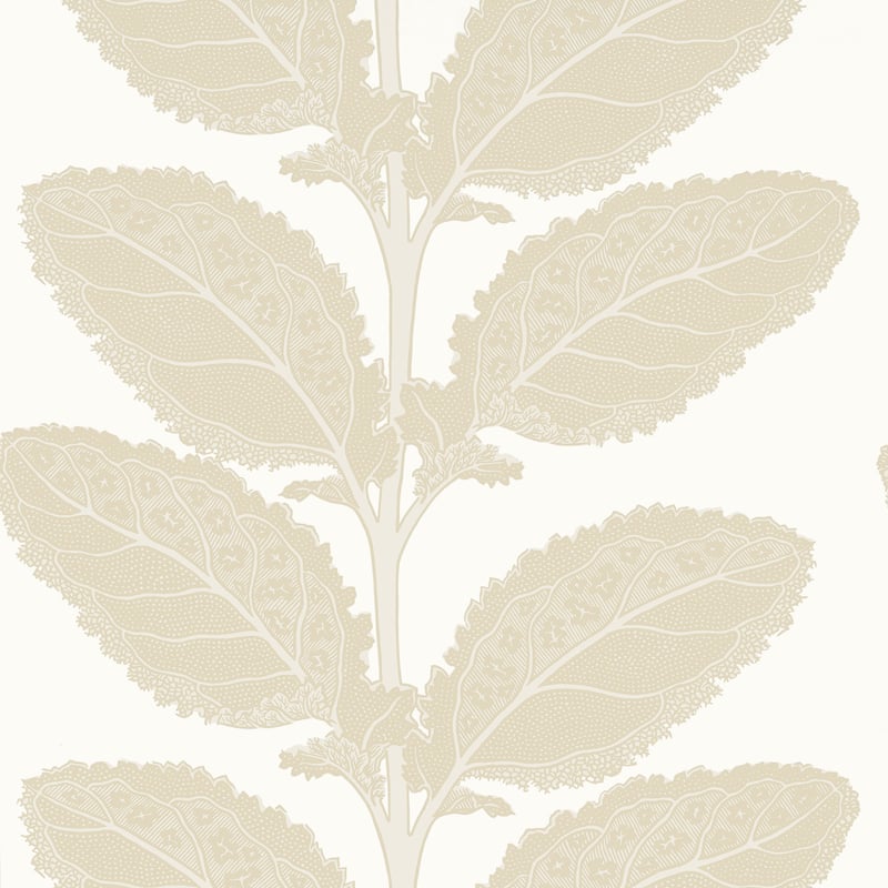 T12041 Thibaut Birch Wallpaper