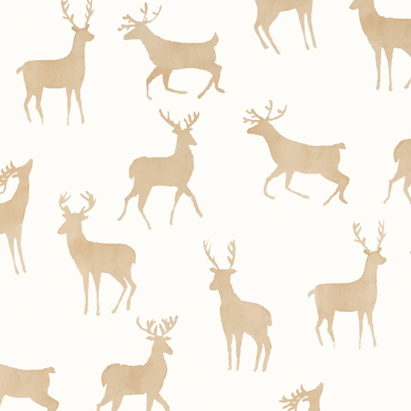 T12065 Thibaut Birch Wallpaper