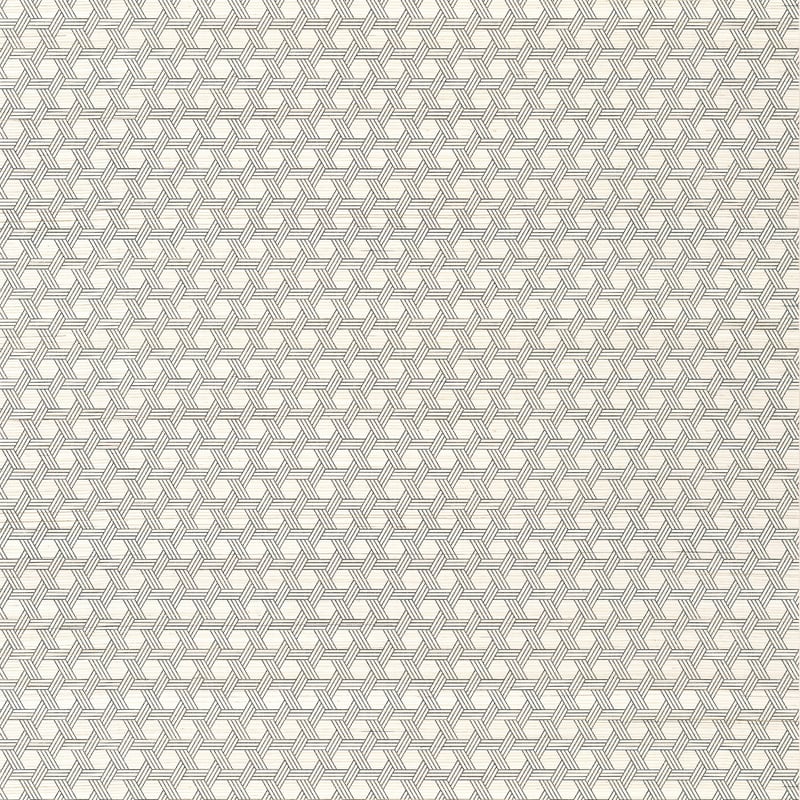 T12807 Thibaut Black Wallpaper