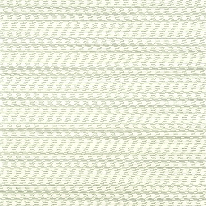 T12809 Thibaut Green Wallpaper