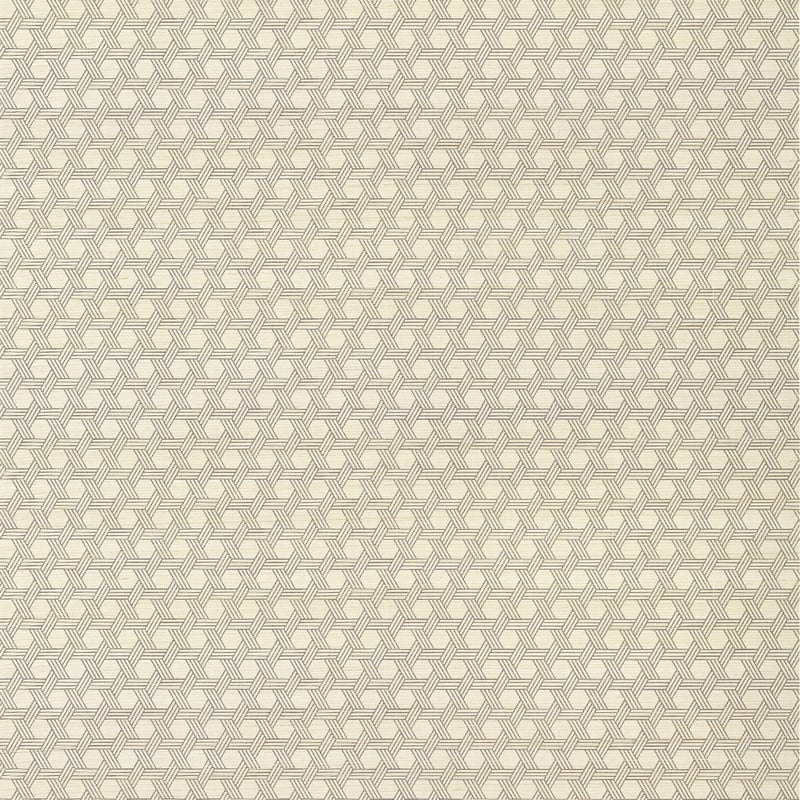 T12811 Thibaut Brown Wallpaper