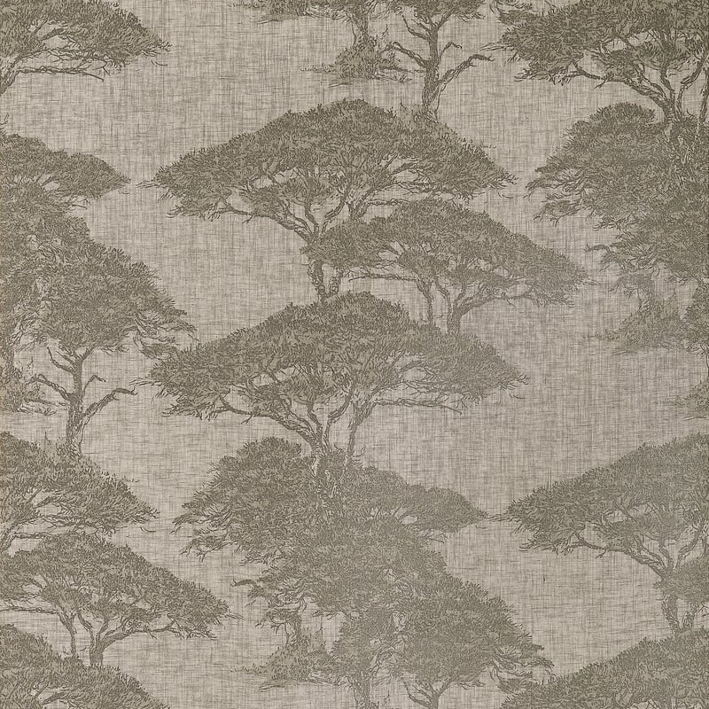 T24435 Thibaut Beige and Black Wallpaper