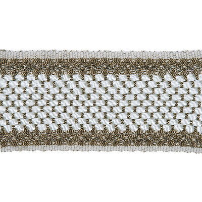 T30642-1176 HAMMERED BRAID TITANIUM KRAVET COUTURE TRIM