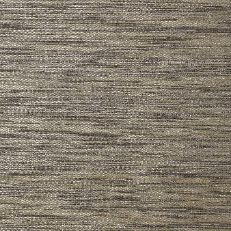 T41113 Thibaut Charcoal Wallpaper