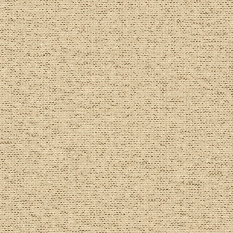 T41129 Thibaut Beige and Black Wallpaper