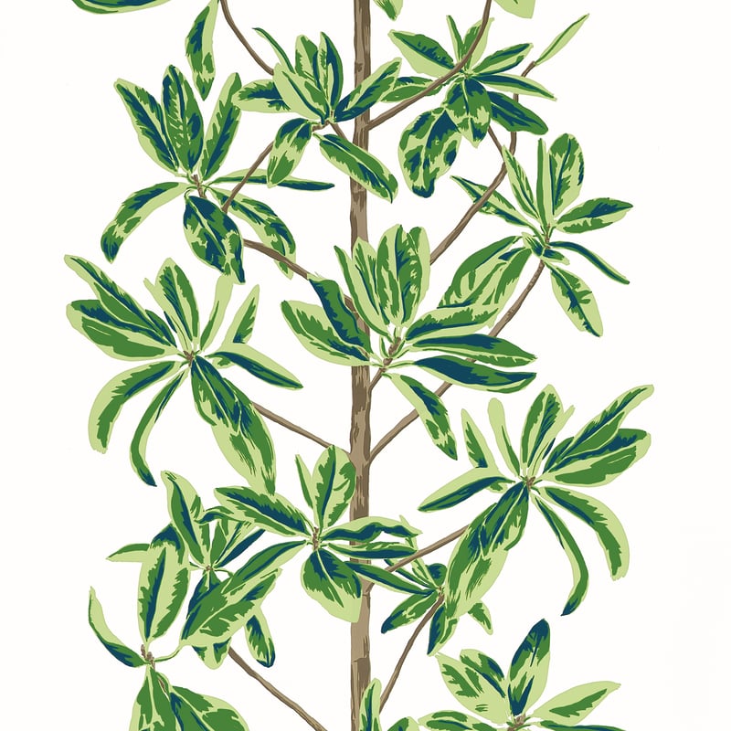 T45035 Thibaut Green and White Wallpaper