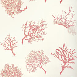 T6867 Thibaut Coral on White Wallpaper