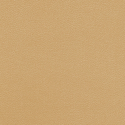 TANNIN-16 KRAVET DESIGN TANNIN-16 KRAVET DESIGN UPHOLSTERY