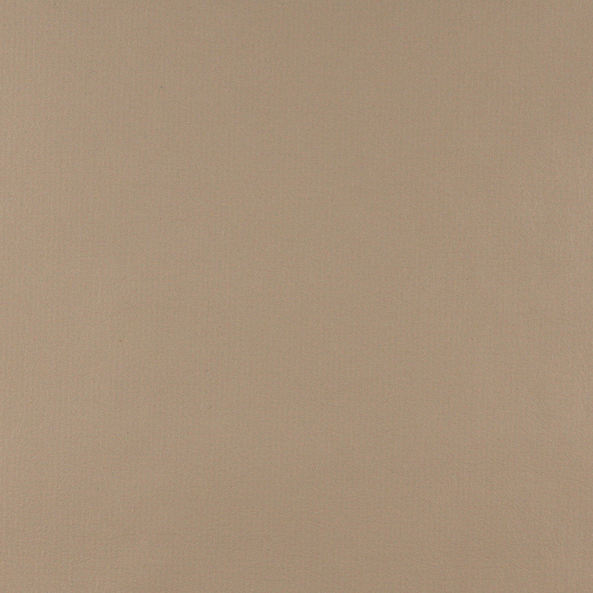 TD-Camel nan Camel nan Charlotte Fabrics Vinyl