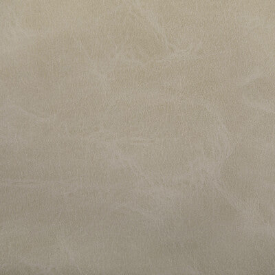 TONI-106 TONI DUNE KRAVET CONTRACT UPHOLSTERY