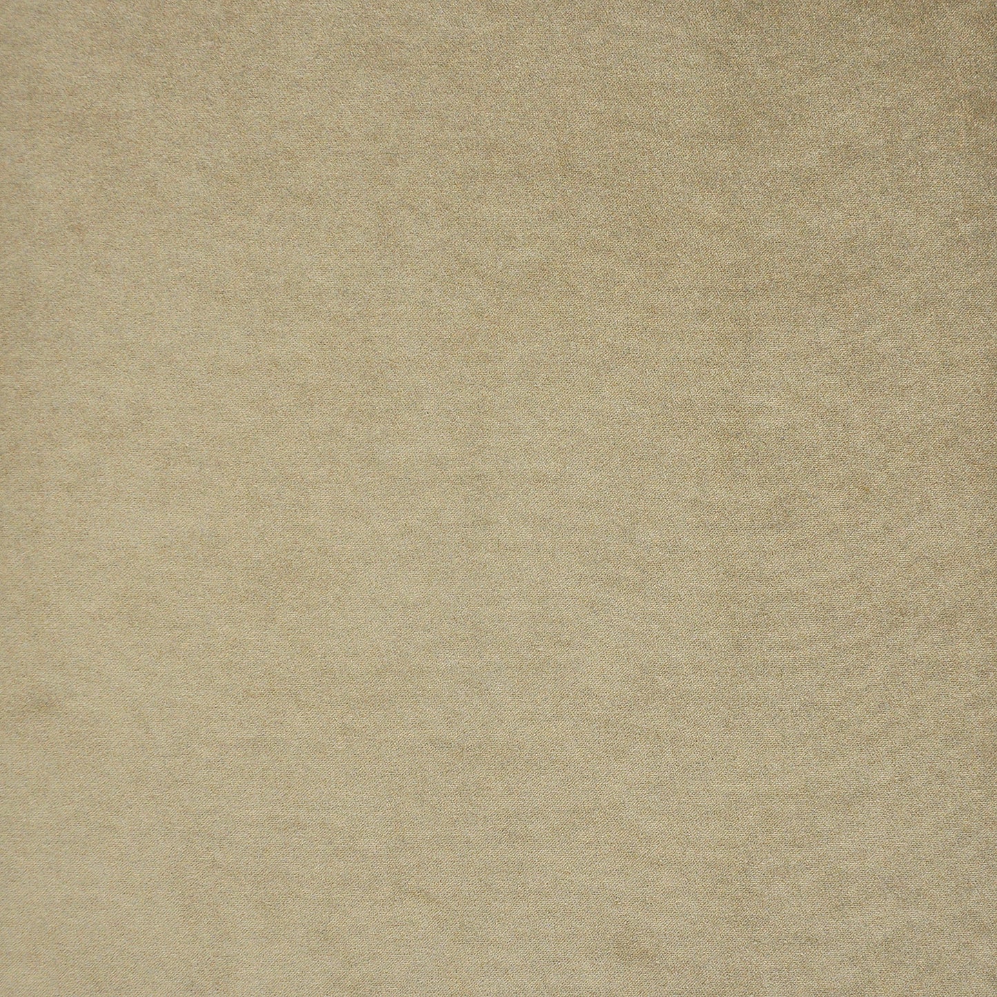 TQ1706 Maxwell VELVET SOLID/TEXTURE # 706 LION VELVETROOM