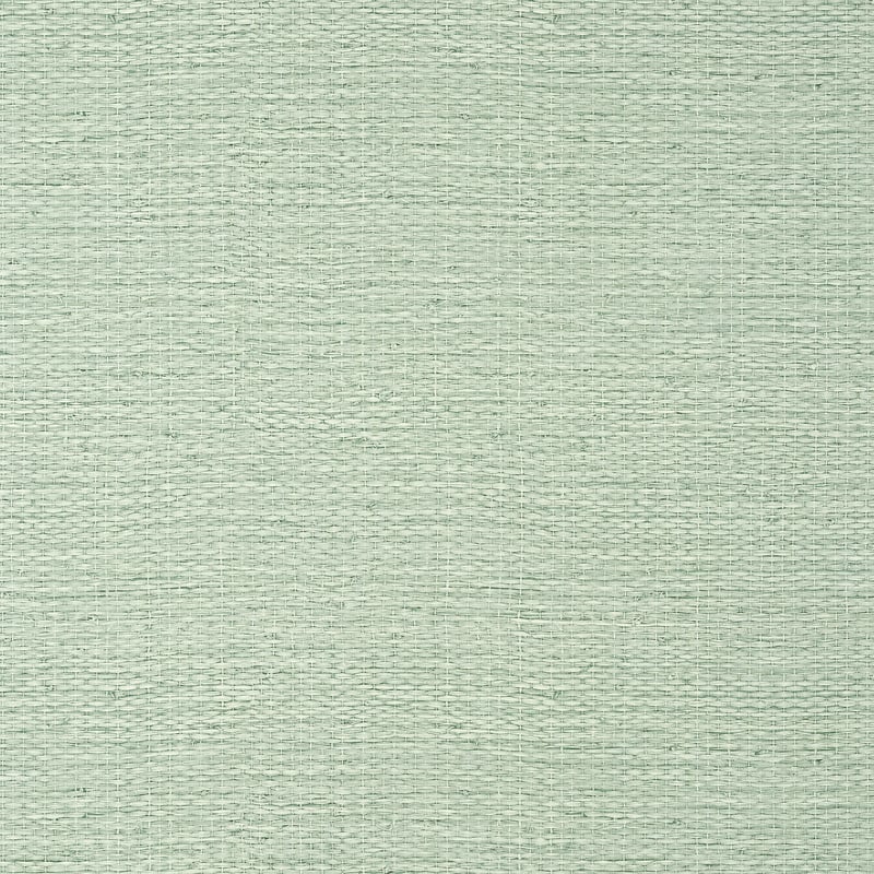 TWW10928 Thibaut Evergreen Wallpaper