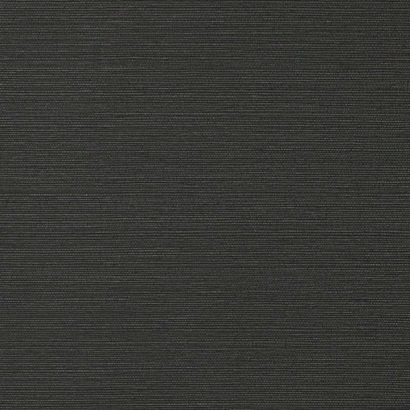TWW75152 Thibaut Black Wallpaper
