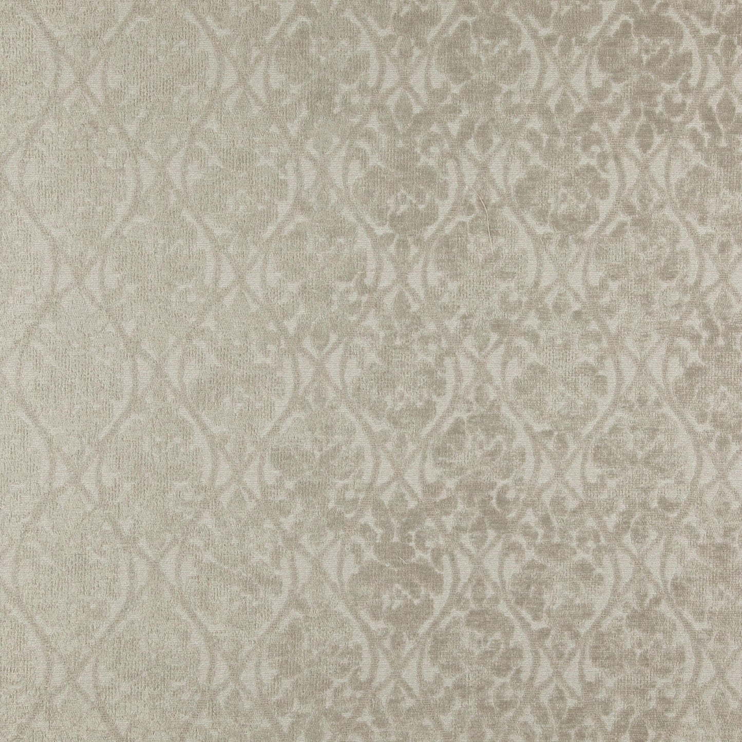 U36319 Maxwell CHENILLE PATTERN # 319 DUNE CLASSICCHENILL