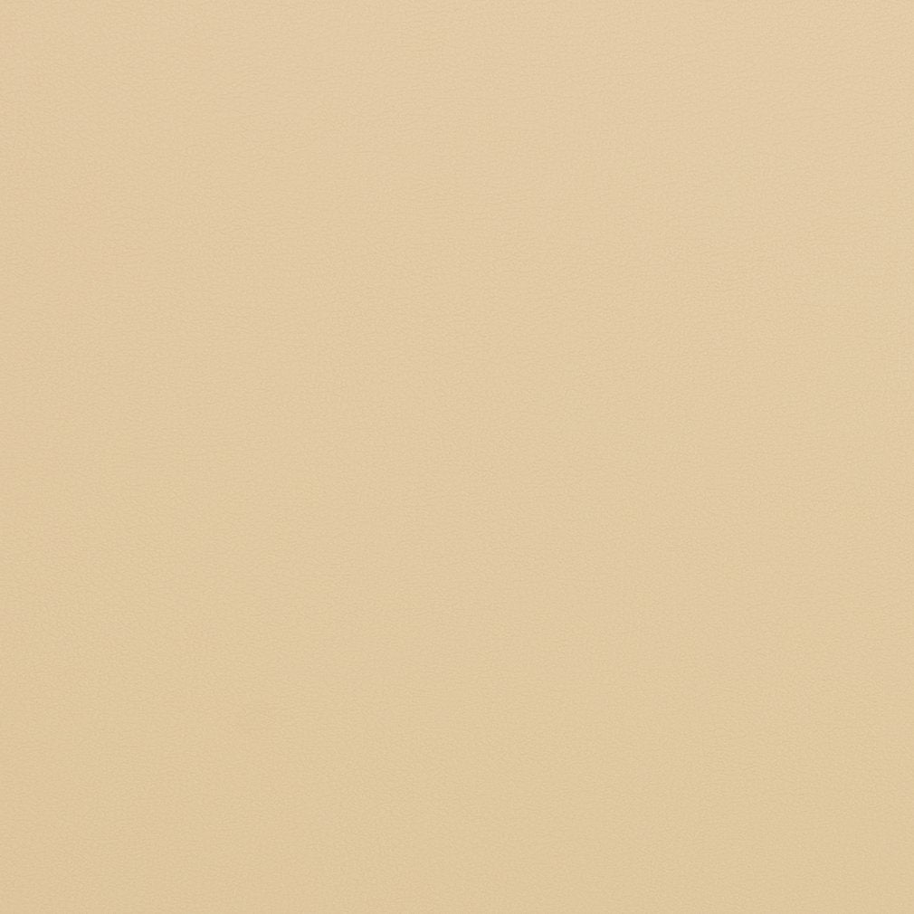 V286 Leather Grain,Plain & Solid Beach Beige & Taupe Charlotte Fabrics Vinyl