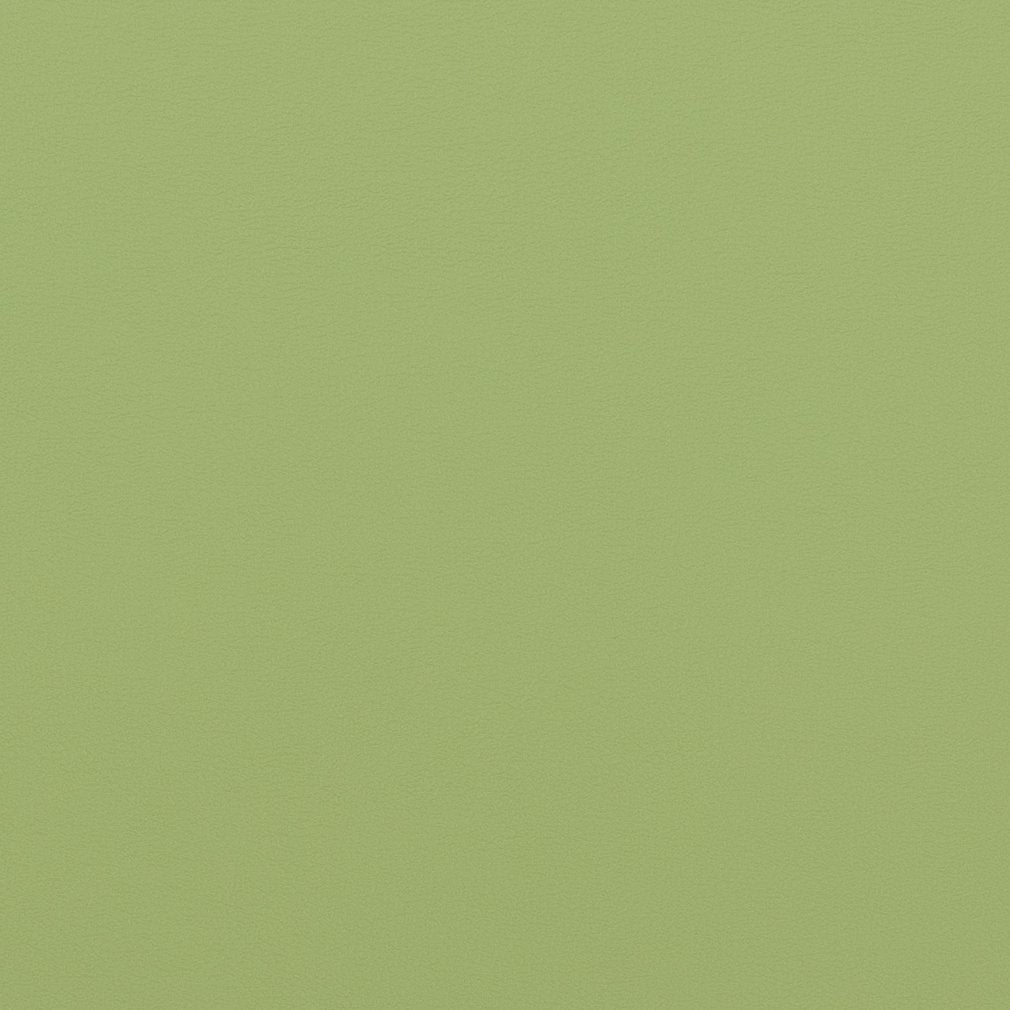V307 Leather Grain,Plain & Solid Meadow Green Charlotte Fabrics Vinyl