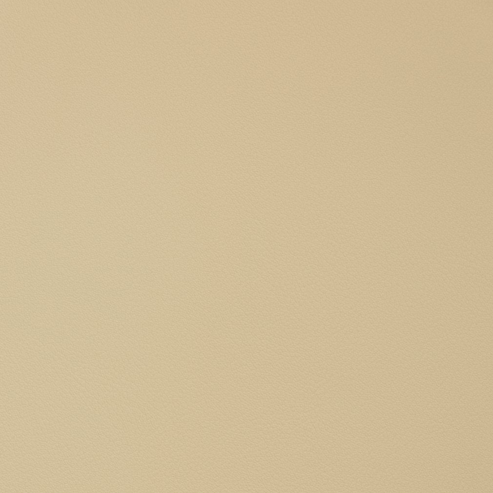 V342 Leather Grain,Plain & Solid Parchment Beige & Taupe Charlotte Fabrics Vinyl