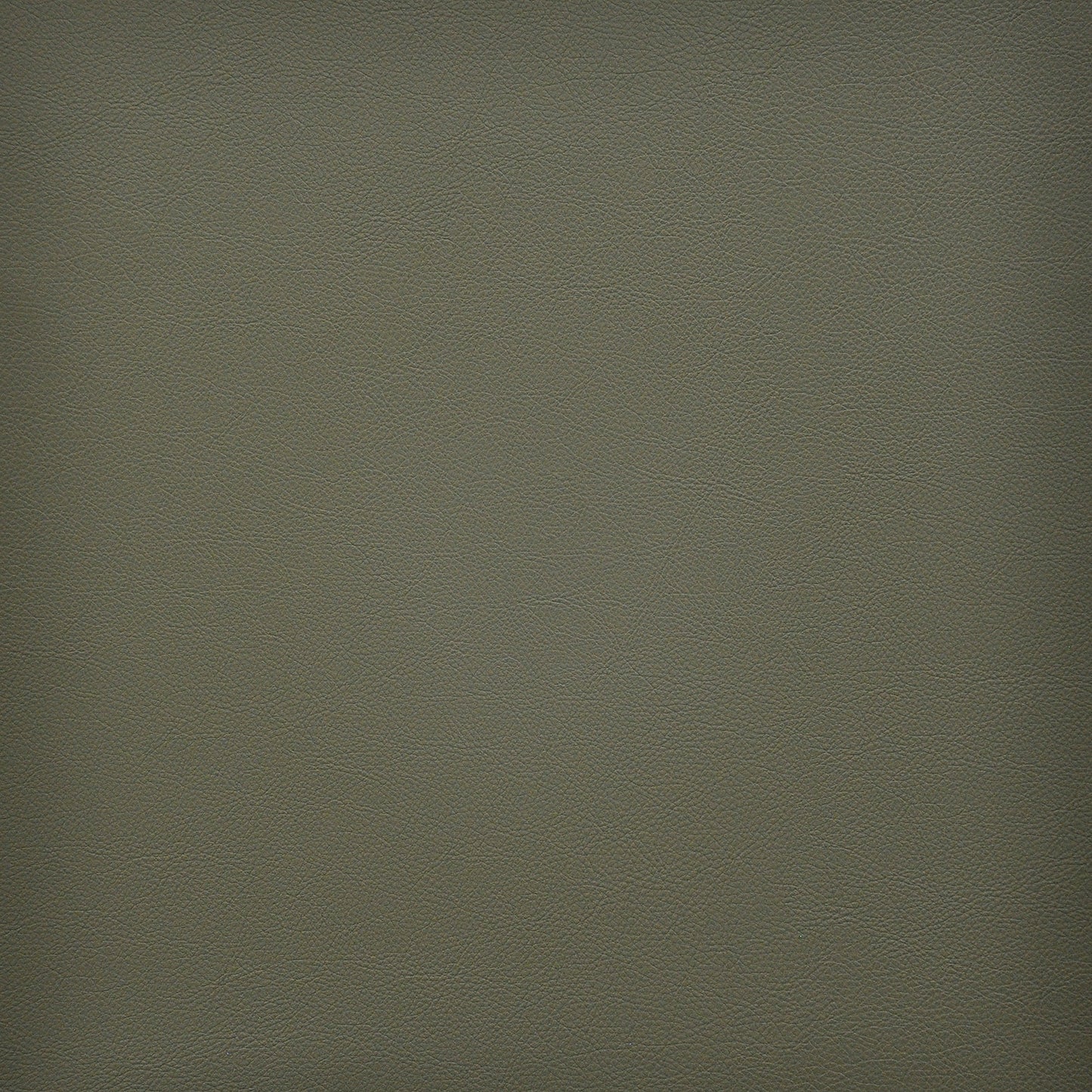 VA3249 Maxwell FAUX LEATHER # 249 SAGE EASYRIDERVI