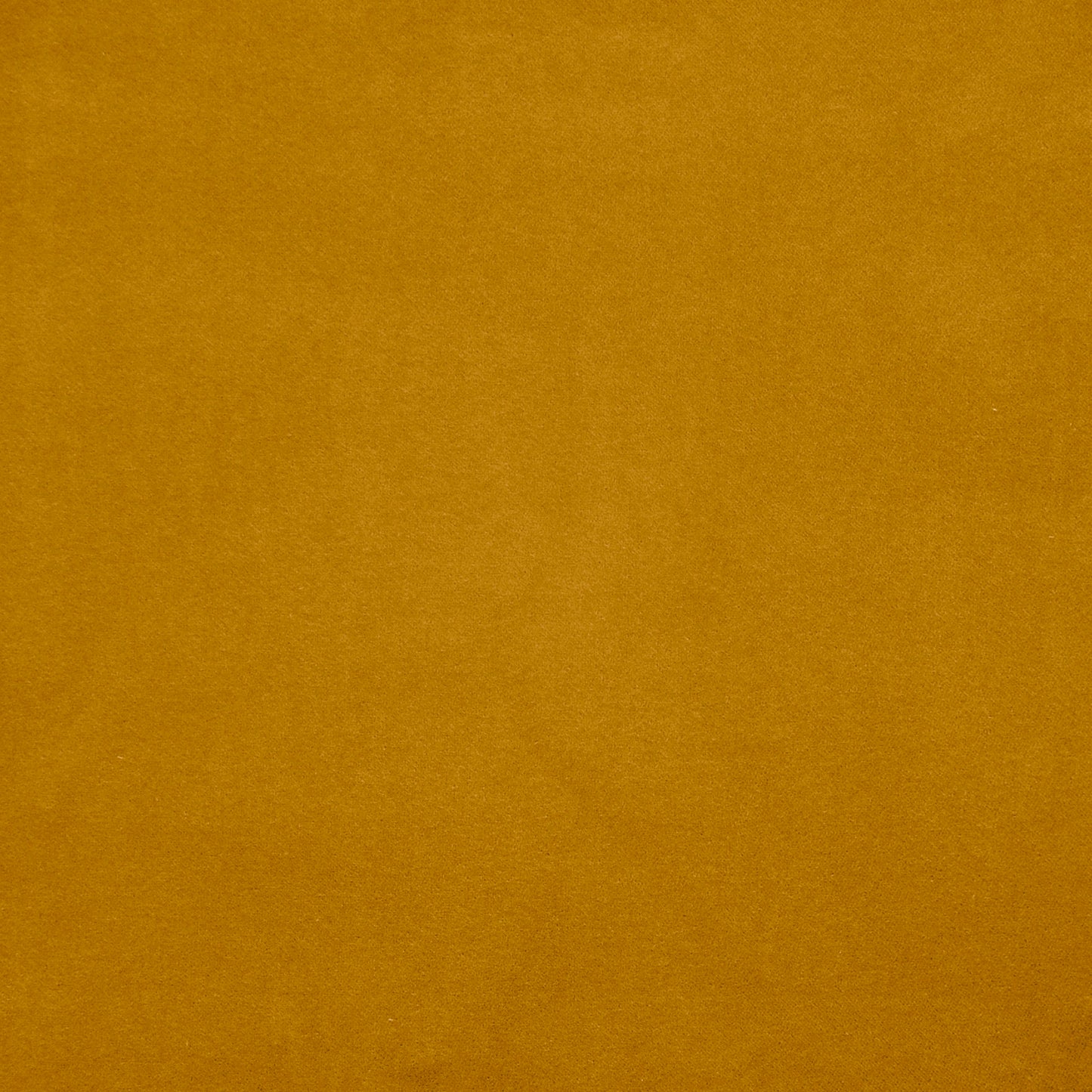 VA9731 Maxwell VELVET SOLID/TEXTURE # 731 ORO PW-PAINTBRUSH