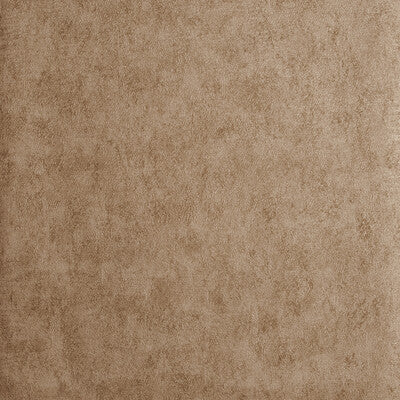 W0054/02-CAC CHINCHILLA COPPER CLARKE AND CLARKE Wallpaper