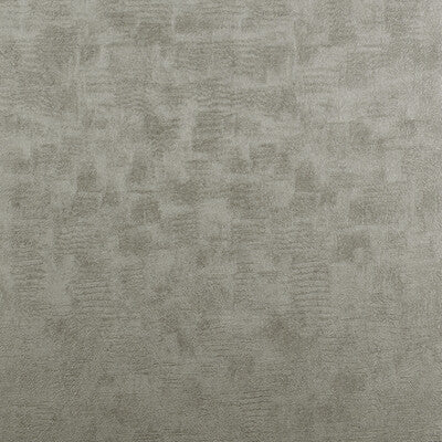 W0054/04-CAC CHINCHILLA PEWTER CLARKE AND CLARKE Wallpaper