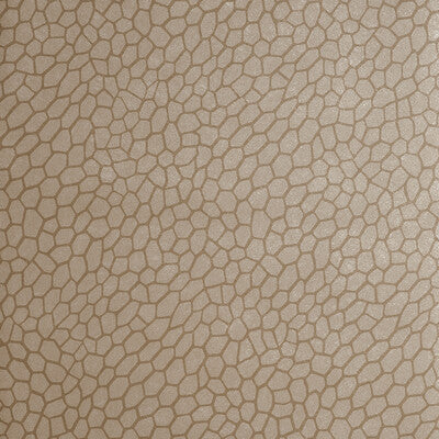 W0058/01-CAC PLAYA ANTIQUE CLARKE AND CLARKE Wallpaper