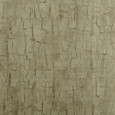 W0062/01-CAC TREE BARK ANTIQUE CLARKE AND CLARKE Wallpaper