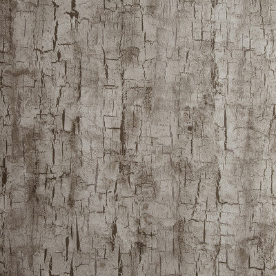 W0062/05-CAC TREE BARK PEWTER CLARKE AND CLARKE Wallpaper