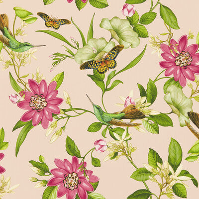W0132/01-CAC PINK LOTUS WP BLUSH CLARKE AND CLARKE Wallpaper