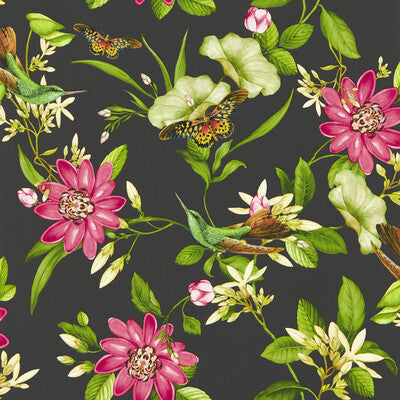 W0132/03-CAC PINK LOTUS WP NOIR CLARKE AND CLARKE Wallpaper