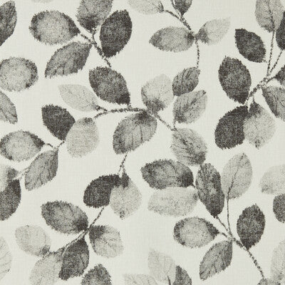 W0159/01-CAC NORTHIA CHARCOAL WP CLARKE AND CLARKE Wallpaper