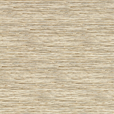 W0192/06-CAC XAN SAHARA WP CLARKE AND CLARKE Wallpaper