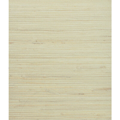 W3047-1116 KRAVET DESIGN W3047-1116 KRAVET DESIGN Wallpaper