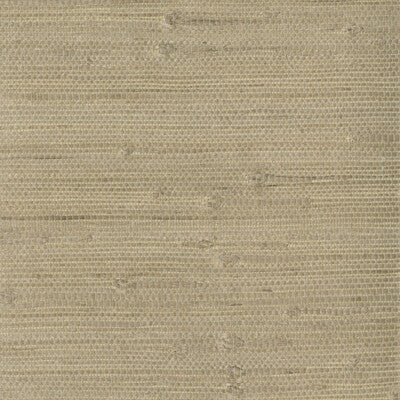 W3047-1606 KRAVET DESIGN W3047-1606 KRAVET DESIGN Wallpaper