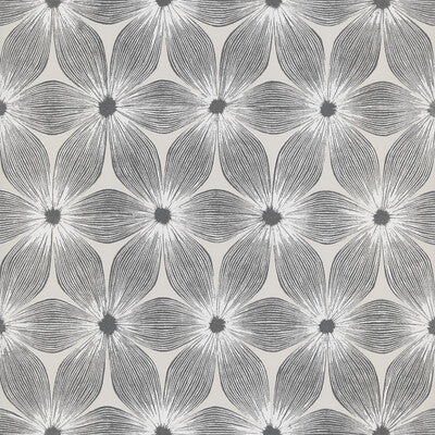 W3800-101 KRAVET DESIGN W3800-101 KRAVET DESIGN Wallpaper