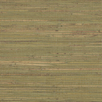 W4007-316 KRAVET DESIGN W4007-316 KRAVET DESIGN Wallpaper