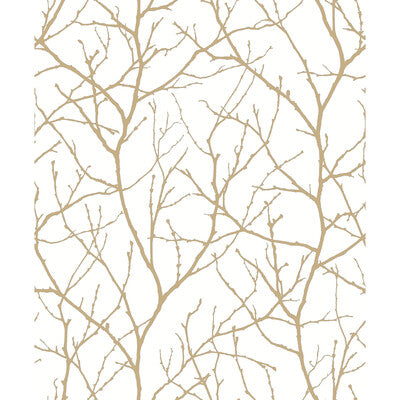 W4109-14 KRAVET DESIGN W4109-14 KRAVET DESIGN Wallpaper