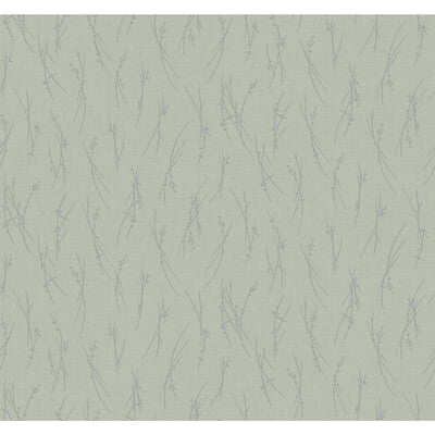 W4115-311 KRAVET DESIGN W4115-311 KRAVET DESIGN Wallpaper