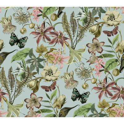 W4133-73 KRAVET DESIGN W4133-73 KRAVET DESIGN Wallpaper