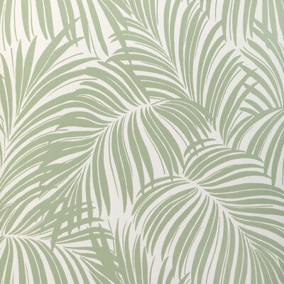 W4149-30 PALM LEAF WP LIGHT GREEN KRAVET COUTURE Wallpaper