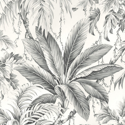 W4190-11 KRAVET DESIGN W4190-11 KRAVET DESIGN Wallpaper