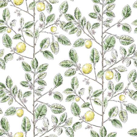 W4241-340 Kravet Design W4241 Kravet Design Wallpaper