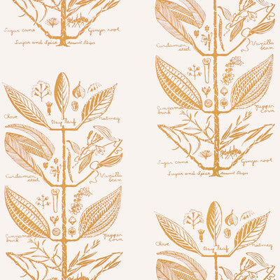 W4263-404 SUGAR AND SPICE WP GOLD KRAVET COUTURE Wallpaper