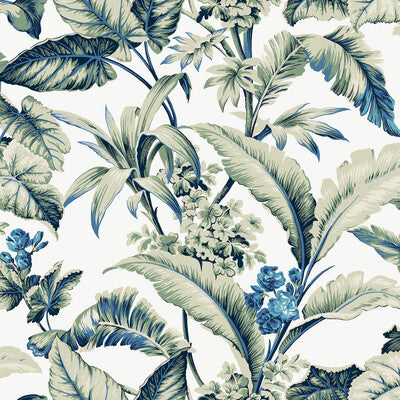 W4272-530 KRAVET DESIGN W4272-530 KRAVET DESIGN Wallpaper