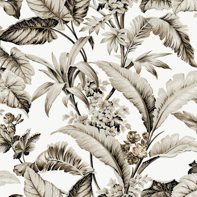 W4272-86 KRAVET DESIGN W4272-86 KRAVET DESIGN Wallpaper