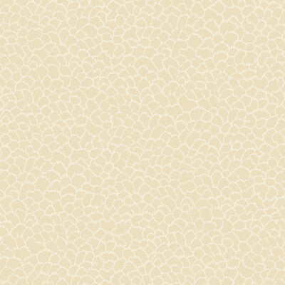 W4281-116 KRAVET DESIGN W4281-116 KRAVET DESIGN Wallpaper
